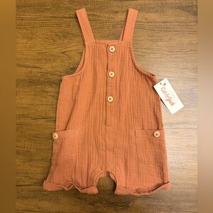 NWT Cat & Jack Kids' Rust Overalls